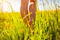 Young woman walking in spring field at sunset among fresh grass and flowers barefooted