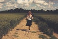 Young woman walking in a wheat field Royalty Free Stock Photo