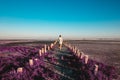 Young woman walks along the purple beach. Magic place beautiful landscape Travel