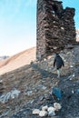 A young woman walks along a rocky path. A half-ruined stone tower in front