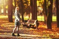 Young woman walks at colorful autumn park. Sunny afternoon in autumnal forest park. Girl relaxes in vivid park Royalty Free Stock Photo