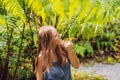A young woman walks among the ferns Royalty Free Stock Photo