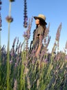 Young woman walks among lavender field and enjoys by blooming Royalty Free Stock Photo