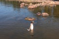 A young woman walks on the water. Lady bathes. Concept of summer vacation, skin and health care, relaxation/