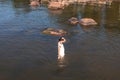 A young woman walks on the water. Lady bathes. Concept of summer vacation, skin and health care, relaxation