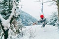 A young woman in warm clothes, checkered scarf and Red Cap swinging on a swing between forest trees with picturesque snowy Royalty Free Stock Photo