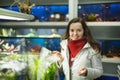 Young woman watching fish in aquarium tank Royalty Free Stock Photo