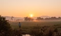 Young woman watching the sunrise in rice fields in the Cambodian countryside Royalty Free Stock Photo