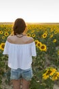 Young woman watching the sunset in a field of yellow sunflowers Royalty Free Stock Photo