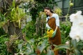 Young woman watering flower plants using garden tools Royalty Free Stock Photo