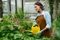 Young woman watering flower plants using garden tools Royalty Free Stock Photo