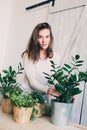 Young woman watering flowerpots at home. Casual lifestyle series in modern scandinavian interior Royalty Free Stock Photo