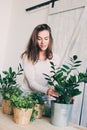 Young woman watering flowerpots at home. Casual lifestyle series in modern scandinavian interior