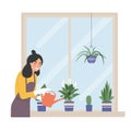 Young woman is watering house plants. Vector flat illustration