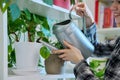 Young woman watering pots with plants from watering can, home interior Royalty Free Stock Photo