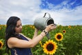 Young woman watering sunflower