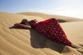 Young woman wearing a sari. Royalty Free Stock Photo