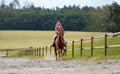 Young woman wearing shirt riding brown horse in sand paddock by wooden fence, hair moving in air because of speed Royalty Free Stock Photo