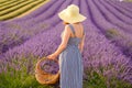 A young woman wearing a straw hat finds joy in strolling through a lavender field