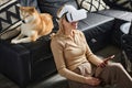 Dog Owner Wearing Virtual Reality Glasses at Her Living Room Royalty Free Stock Photo