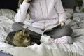 Young woman wearing warm comfortable winter sweater and socks reading a magazine on bed. Her cat is sleeping next to her Royalty Free Stock Photo
