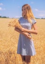 Young woman at the wheat field under the blue sky at the sunny day Royalty Free Stock Photo