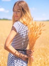 Young woman at the wheat field under the blue sky at the sunny day Royalty Free Stock Photo