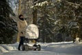 Young woman in white coat walking with white baby stroller in sunny winter park with snowy fir trees. Childcare, love Royalty Free Stock Photo