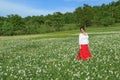 Young woman in a white flowers field Royalty Free Stock Photo