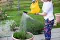 A young woman in a white T-shir holding yellow watering can and watering plants Royalty Free Stock Photo