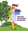 A young woman who carries grapes. Vineyard branches. The concept of technology of production, crop and agriculture. Flat vector