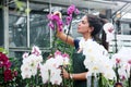 Young Woman Working As Florist In Flower Shop Royalty Free Stock Photo