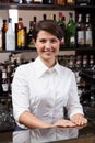 Young woman working at the bar Royalty Free Stock Photo