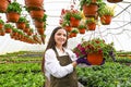 Young woman working in beautiful colorful flower garden greenhouse. My job is my passion. Royalty Free Stock Photo