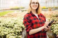 Young woman working in greenhouse. Attractive girl check and count flowers, using tablet computer Royalty Free Stock Photo