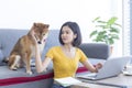 A young woman is working on a home form during the lockdown period. A young Asian woman is playing with a dog in a living room