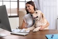 Young woman working at home office and stroking Golden Retriever dog Royalty Free Stock Photo