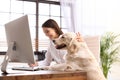 Young woman working at home office and stroking Golden Retriever dog Royalty Free Stock Photo
