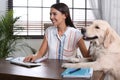 Young woman working at home office and stroking Golden Retriever dog Royalty Free Stock Photo