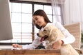 Young woman working at home office and stroking Golden Retriever dog Royalty Free Stock Photo