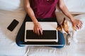 young woman working on laptop at home, sitting on the couch, cute small dog besides. Technology and pets concept Royalty Free Stock Photo