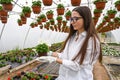 Young woman working in nursery garden and showing pot with beautiful blooming flower. Growing flowers Royalty Free Stock Photo