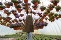 Young woman working in nursery garden and showing pot with beautiful blooming petunia flower. Growing flowers Royalty Free Stock Photo