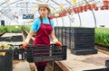 Young woman works in an industrial flower greenhouse