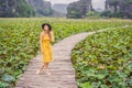 Young woman in a yellow dress on the path among the lotus lake. Mua Cave, Ninh Binh, Vietnam. Vietnam reopens after Royalty Free Stock Photo