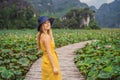 Young woman in a yellow dress on the path among the lotus lake. Mua Cave, Ninh Binh, Vietnam. Vietnam reopens after Royalty Free Stock Photo