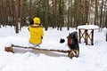 Young woman in yellow jacket from behind sitting on a snow covered bench in a winter forest and holding fluffy gray dog in her Royalty Free Stock Photo