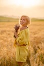 Young woman in yellow among rural field with golden oat field on sunset background Royalty Free Stock Photo