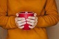 Young woman in yellow sweater is holding red cup of tea or coffee Royalty Free Stock Photo