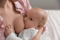 Young woman breast feeding her little baby Royalty Free Stock Photo